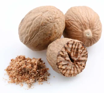 Nutmeg Seed