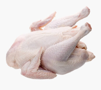 Stewing Hen (Old Layer) 2 in 1 Pack